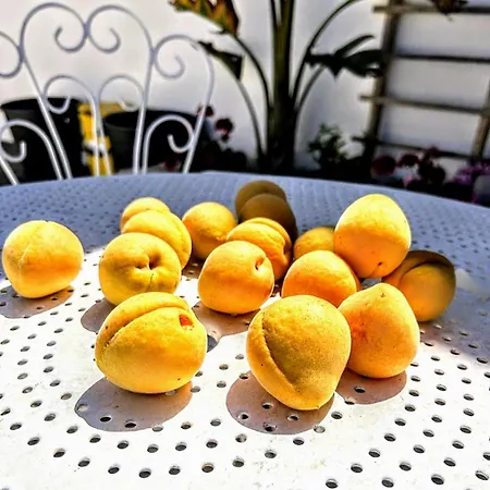 Casa Dei Frutti Di *