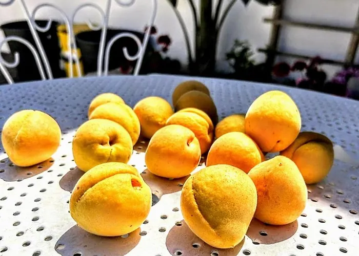 Casa Dei Frutti Di *